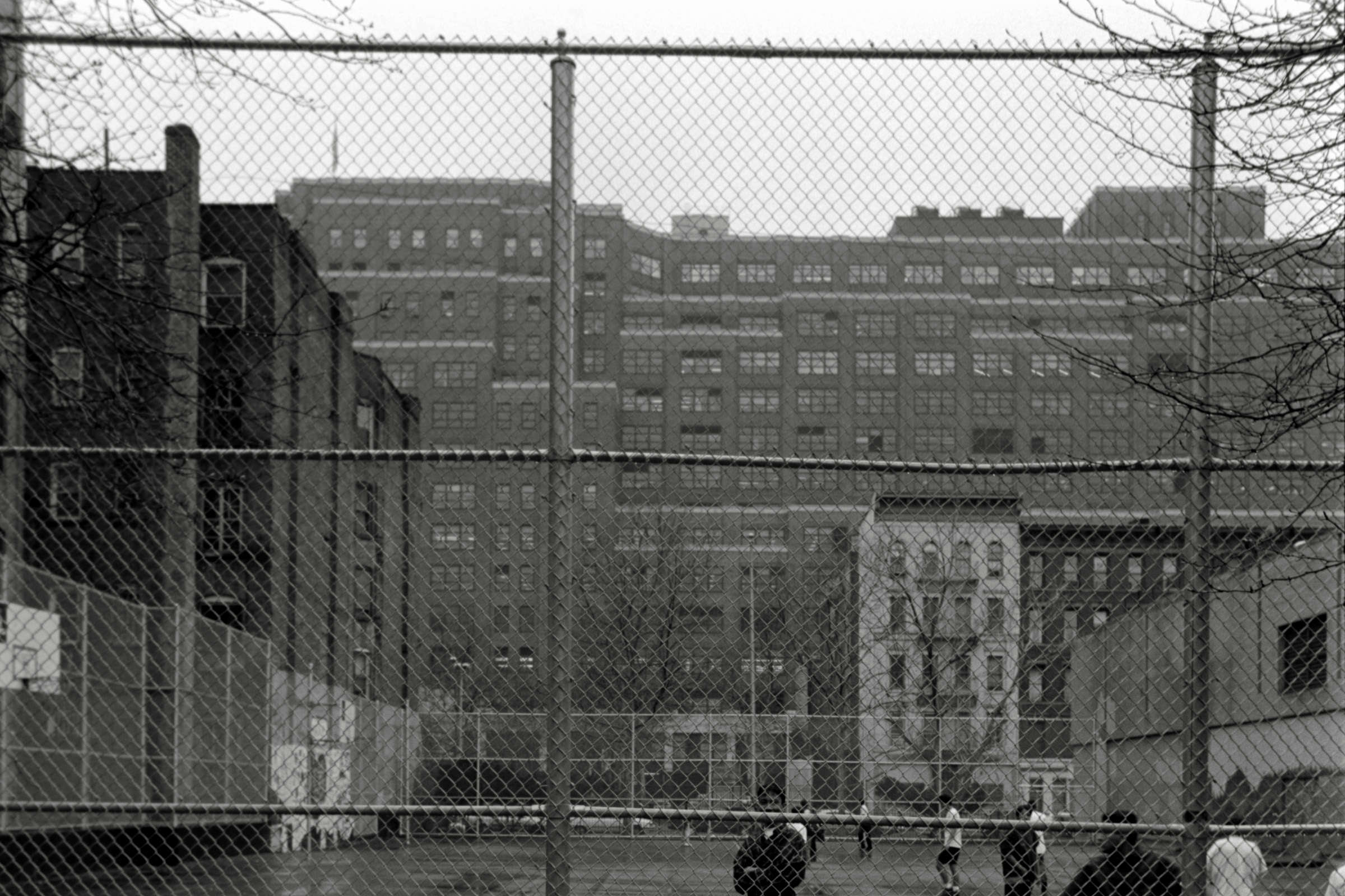 AHP F1995 04 004 sc240816 img05 NLP